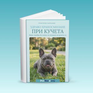 Наръчник: Здраво храносмилане при кучета