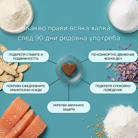 Multivtamin™ - Мултивитамини на хапки