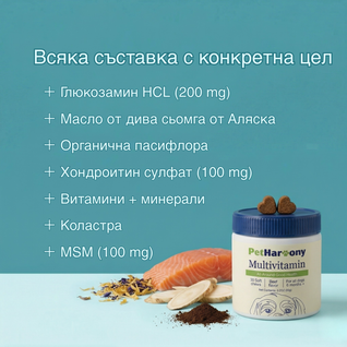 Multivtamin™ - Мултивитамини на хапки