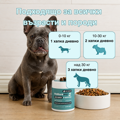 Probiotic Chew™ - Пробиотични хапки