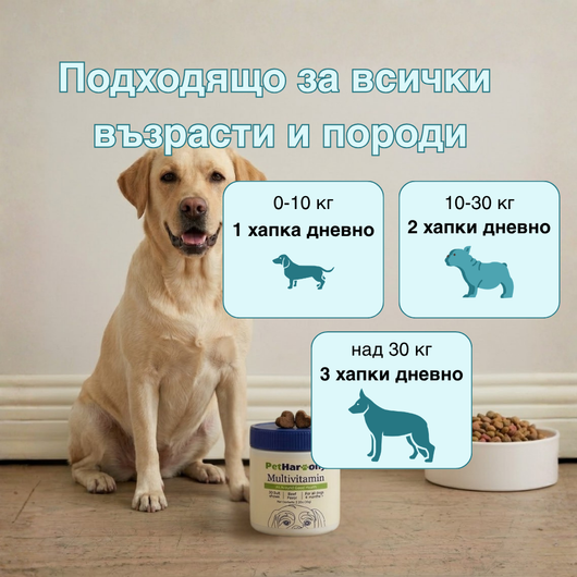 Multivtamin™ - Мултивитамини на хапки