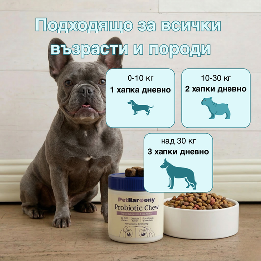 Probiotic Chew™ - Пробиотични хапки