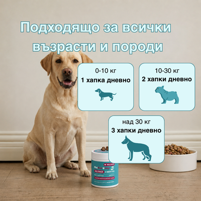 Multivtamin™ - Мултивитамини на хапки