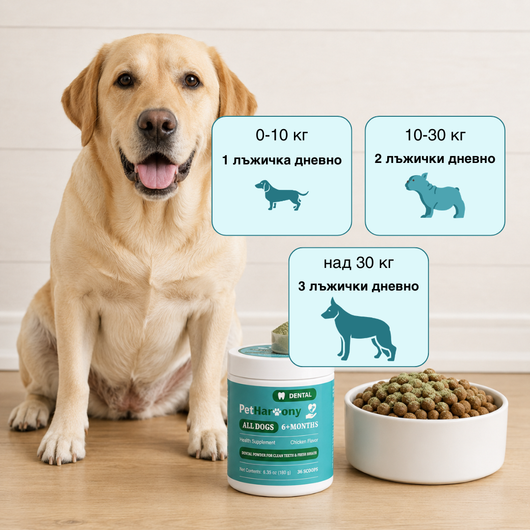 Dental powder™ - Дентален прах