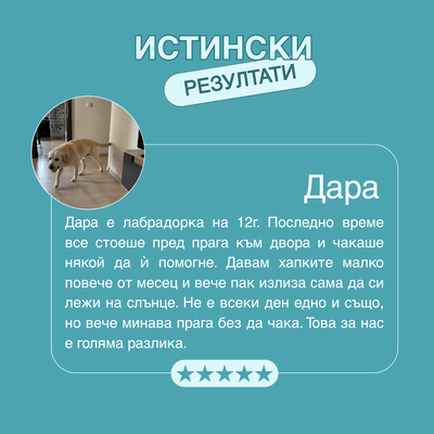 Hip & Joint Chews™ - Хапки за стави и подвижност