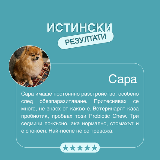 Probiotic Chew™ - Пробиотични хапки