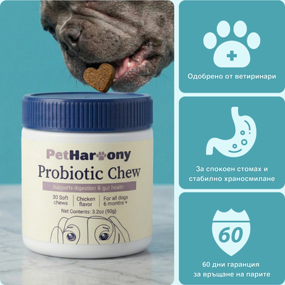 Probiotic Chew™ - Пробиотични хапки