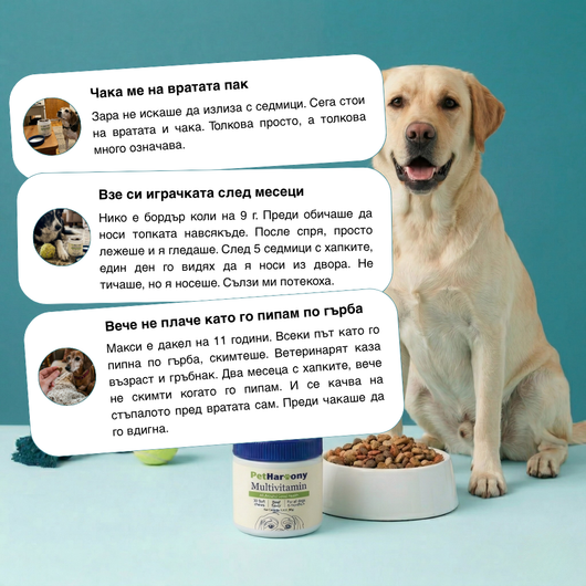 Multivtamin™ - Мултивитамини на хапки