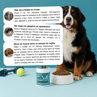 Hip & Joint Chews™ - Хапки за стави и подвижност