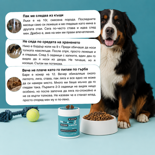 Hip & Joint Chews™ - Хапки за стави и подвижност