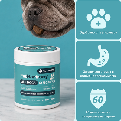 Probiotic Chew™ - Пробиотични хапки