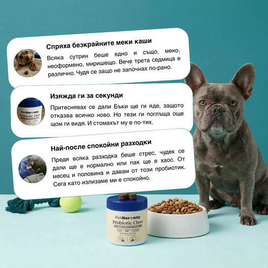 Probiotic Chew™ - Пробиотични хапки
