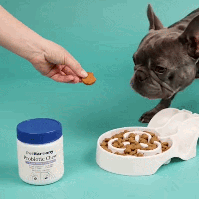 Probiotic Chew™ - Пробиотични хапки